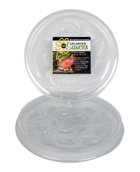 t4D Planter Saucer (6"); Package of 6 Durable Clear Plastic drip Trays.