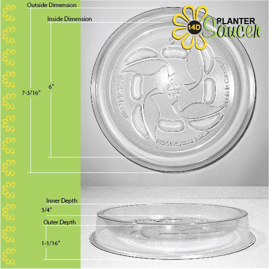 t4D Planter Saucer (6"); Package of 6 Durable Clear Plastic drip Trays.